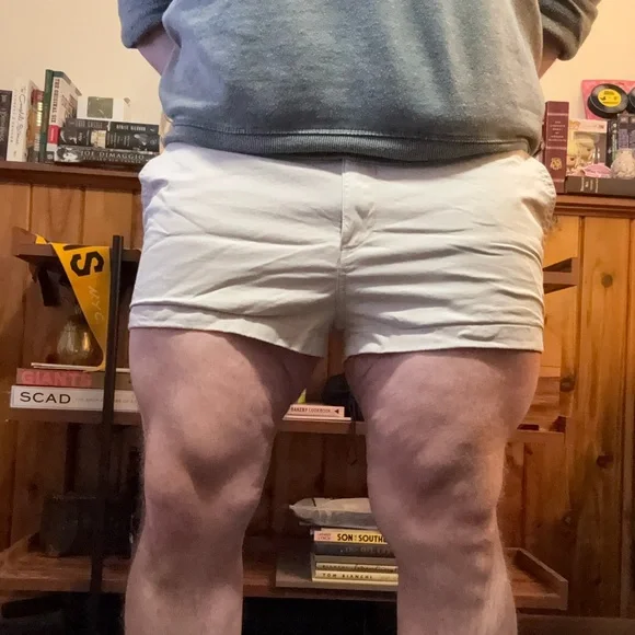Khaki Chubbies 2” Shorts - Picture 1 of 4